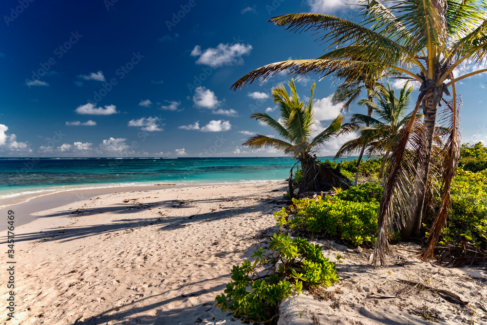 Caribbean island panorama of Anguilla shoal Bay Caribbean island panorama of Anguilla shoal Bay