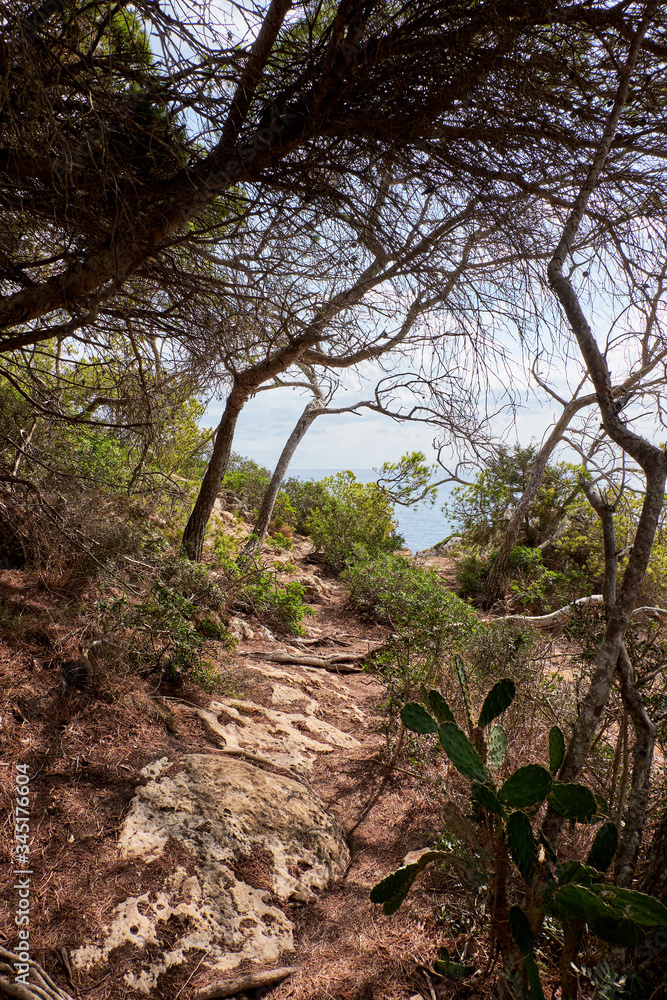 A stony path in a beautiful natural surroundings with in Mallorca island. Spain. 