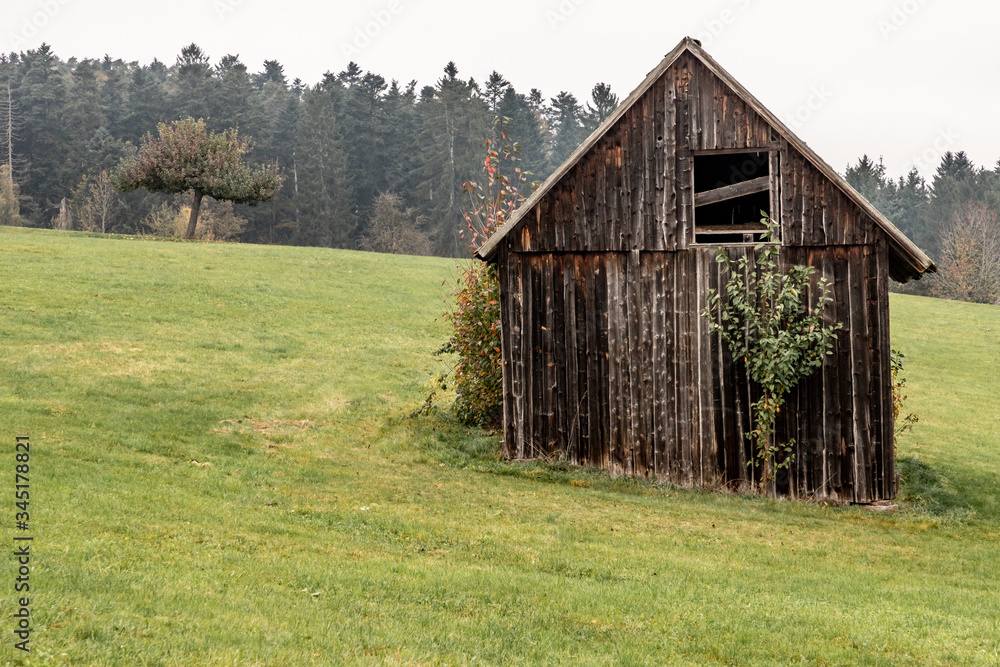 Wood house and field with forest in background around Calw village Wood house and field with forest in background around Calw village