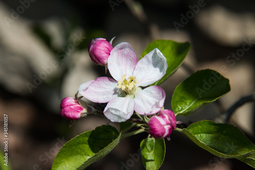 Spring in comming!