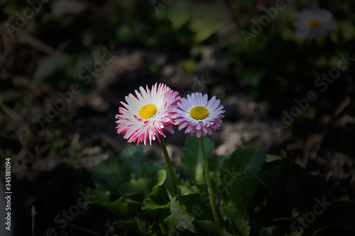 Spring in comming!
