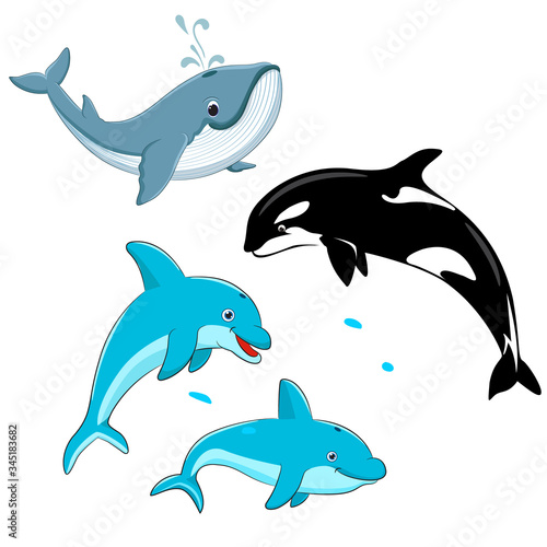 Set of vector whales and dolphins. Vector illustration of marine mammals, such as blue whale, dolphin, killer whale