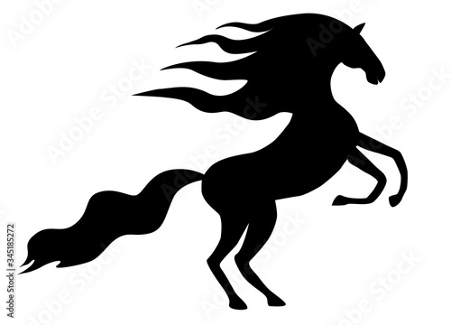 Fototapeta Naklejka Na Ścianę i Meble -  Black silhouette of a wild prancing horse.