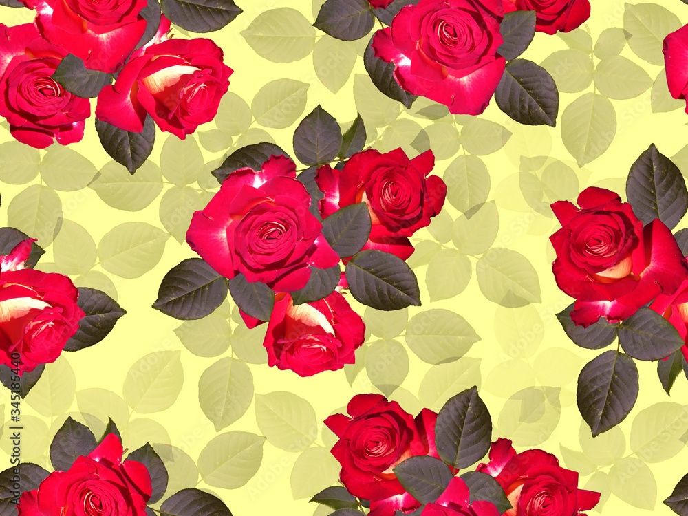 Seamless pattern with red roses and foliage.