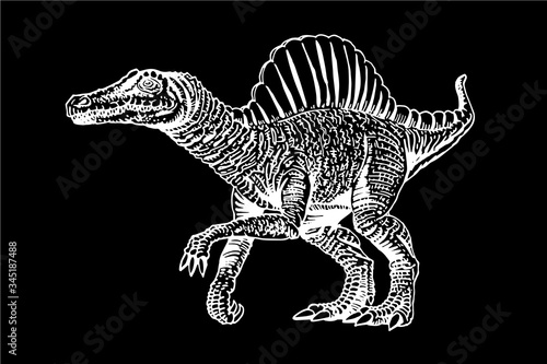 Graphical hand-drawn spinosaurus isolated on black background,vector engraved illustration,dinosaur