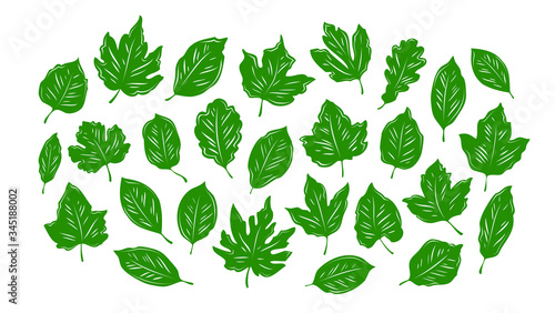 Leaves set. Nature, environment, ecology vector illustration