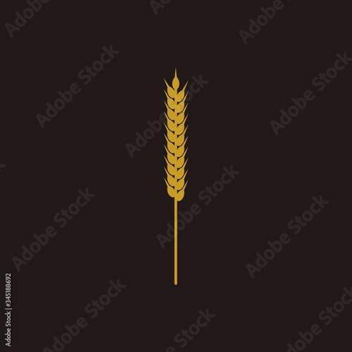 Organic barley spike vector illustration