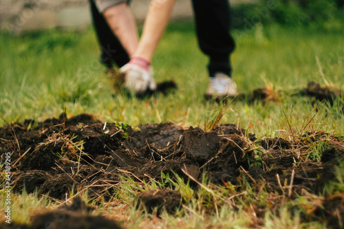 Close up man digs soil with metal shovel. Digging ground for plant seeding. Agriculture concept. Worker in gloves 