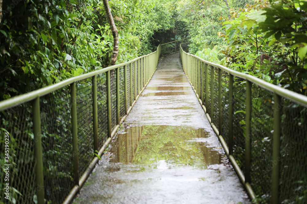 Bridge in a rainy day in Costa Rica Bridge in a rainy day in Costa Rica