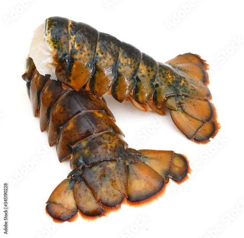 Photography Raw lobster tail
