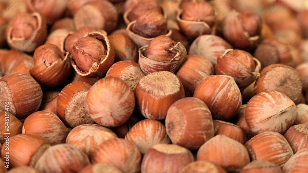 Fresh peeled and inshell hazelnuts rotating. Close up. Fresh peeled and inshell hazelnuts rotating. Close up.