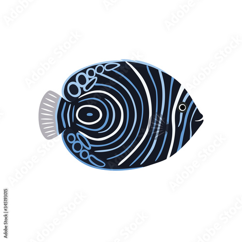 Fish is dark emperor angelfish vector illustration photo