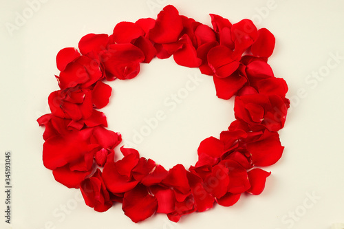 Red rose petals in the shape of a circle. Romantic symbol on a white background with space for text.