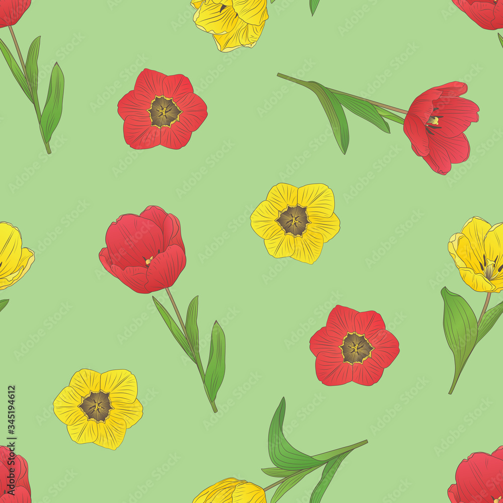 vector seamless pattern with spring flowers tulips on a light green background