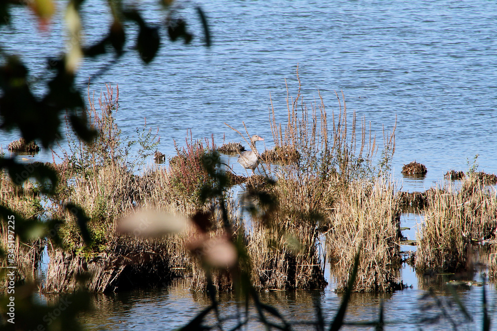 Lake, Breitungen Lake, Nature reserve, Breitungen, Thueringen, Germany, Europe Lake, Breitungen Lake, Nature reserve, Breitungen, Thueringen, Germany, Europe