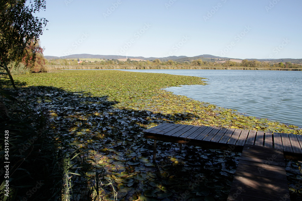 Lake, Breitungen Lake, Nature reserve, Breitungen, Thueringen, Germany, Europe