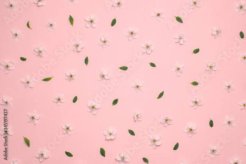 Framework from spring cherry blossoms on pastel pink background. Flat lay. Copy space. Top view