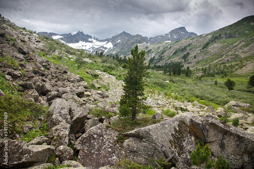 Landscape with mountainous rocky valley, Altai.