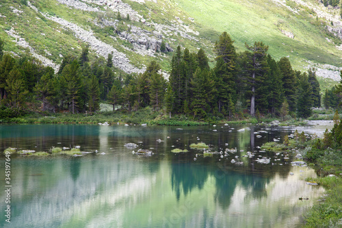 Shore of a clean mountain lake with reflection in the water  Altai.