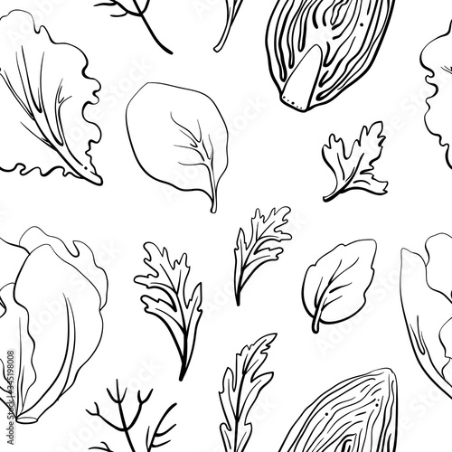 Seamless pattern with salad leaves and herbs/ Hand drawn black line sketch of herbs and salad greens isolated on white background/ Vector illustration