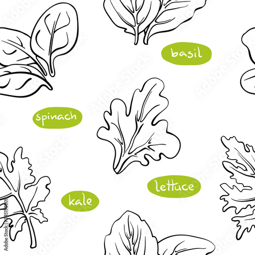 Seamless pattern with salad leaves and herbs: spinach, lettuce, kale, basil/ Hand drawn black line sketch of herbs and salad greens isolated on white background/ Vector illustration