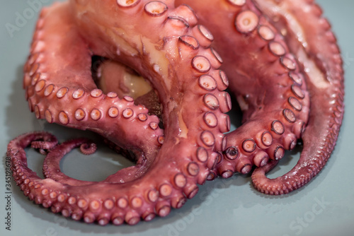 PULPO DE GALICIA COCIDO SPAIN 