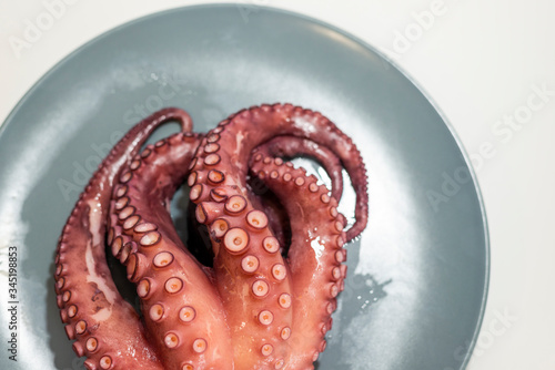 PULPO FRESCO GALLEGO