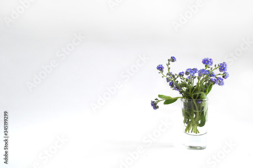 forget-me-nots in a glass on a white background