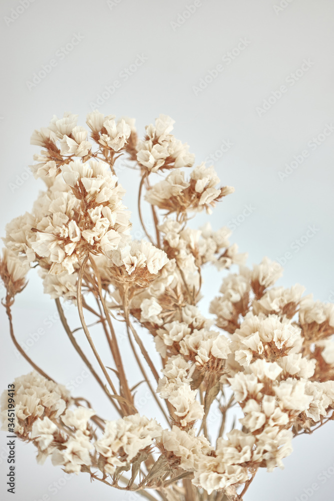 Small white pressed flowers in a vase on a white background. Soft home vintage decor. Vertical photo. Concept of home interiors with pressed flowers.