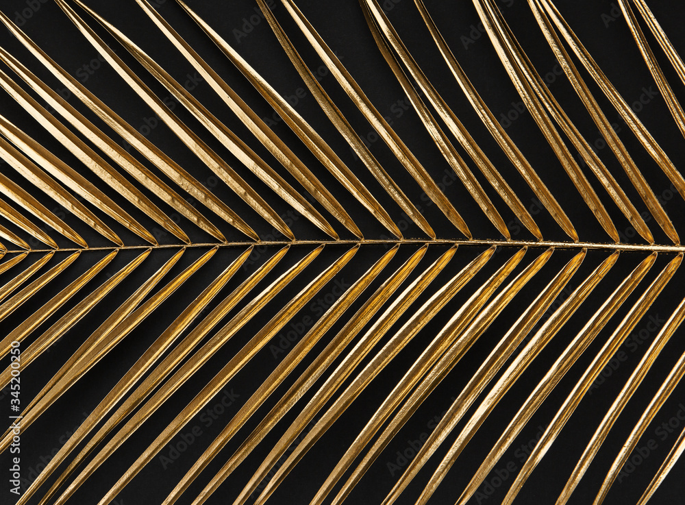 Gold painted palm leaf on black background isolated - obrazy, fototapety, plakaty 