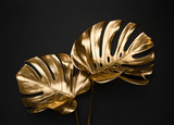 Closeup view of two luxurious golden painted tropical monstera leaves artistic composition on abstract black background isolated