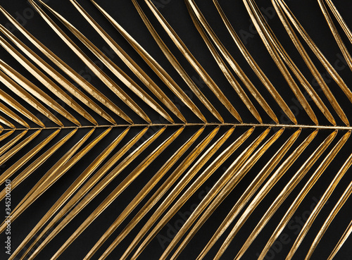Gold painted palm leaf on black background isolated