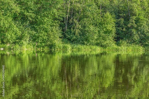 Scenic landscape with forest reflection in a quiet backwater
