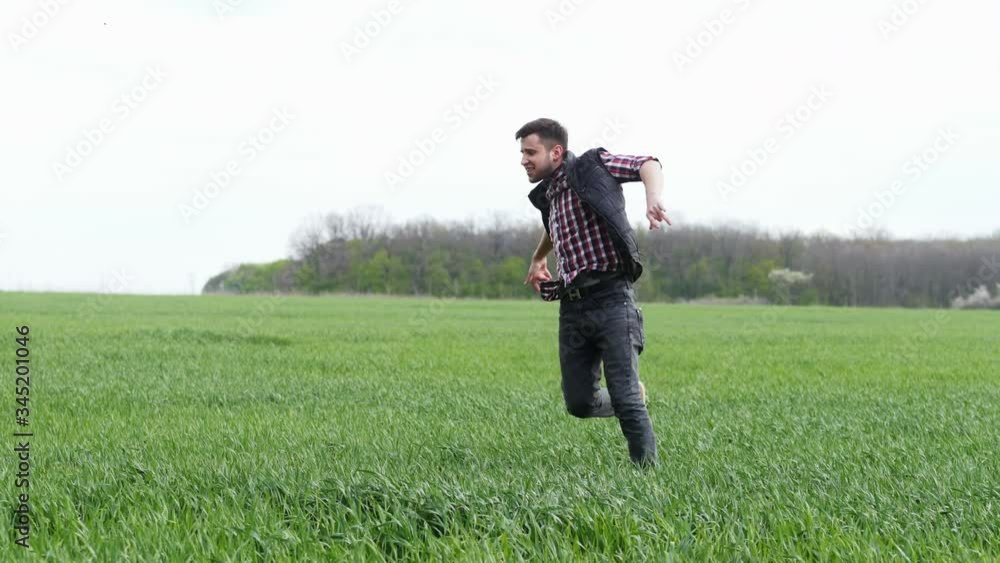 Crazy successful farmer funny dancing in the green field, falling in wheat Crazy successful farmer funny dancing in the green field, falling in wheat