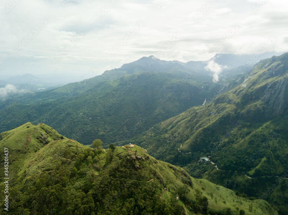  Beautiful view on Adam's Little Peak. Aerial view. Tea plantation in green Sri Lanka.