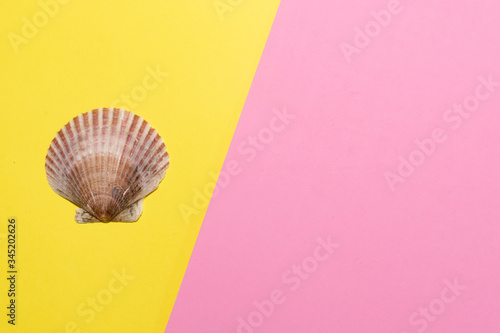 Beautiful big scallop and mermaid shell on yellow and pink geometric background for banners and concepts of traveling, seaside holidays and seafood.