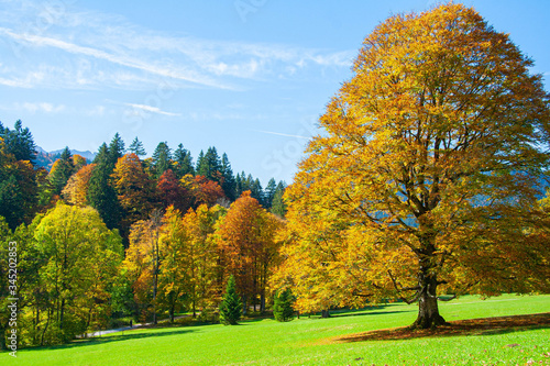 Sunny autumn day in Bavarian Alps, Germany
