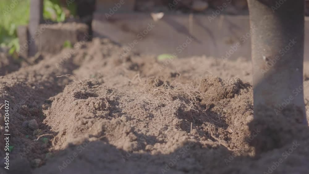 Agricultural Tool Is Hoeing Field. farmer prepares a ridge for sowing. Agricultural Tool Is Hoeing Field. farmer prepares a ridge for sowing.