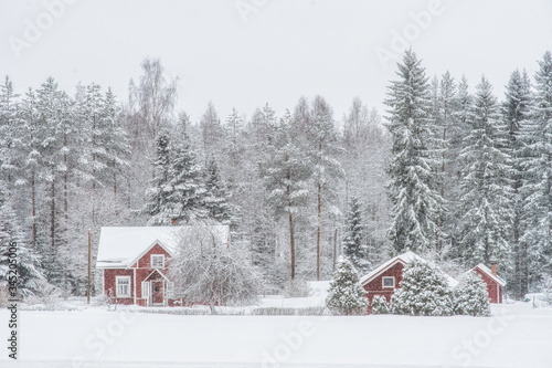 Winter fairytale in snowy Finland