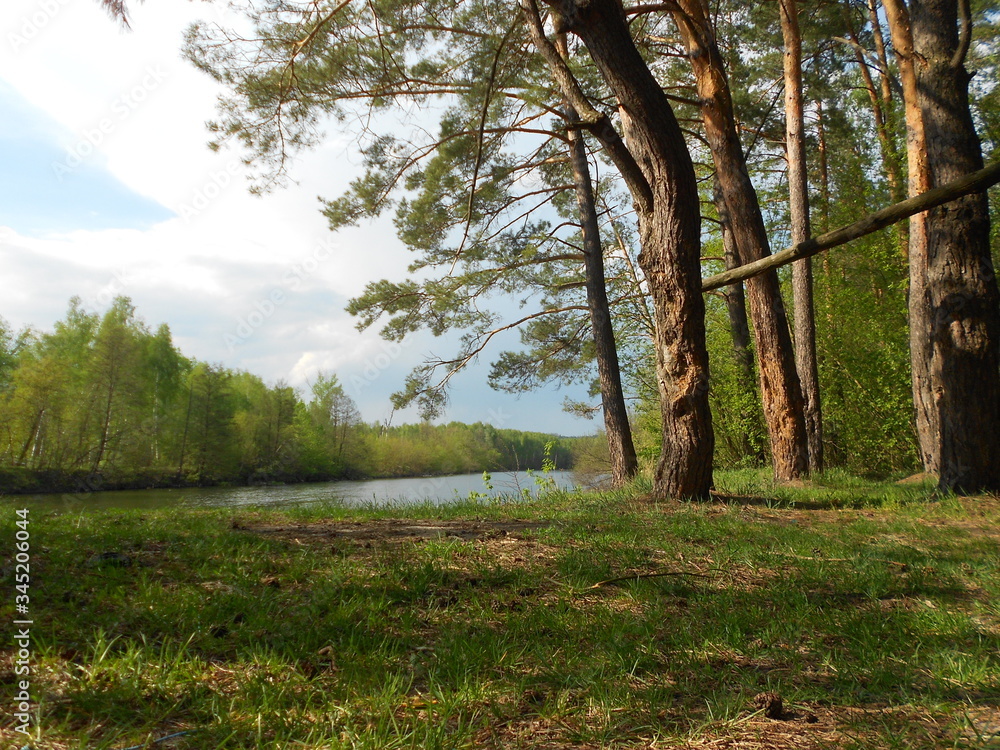 Naklejka premium River in the spring 2020