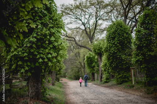 dad and daughter are walking along a beautiful alley with old tall chestnut trees. spring nature