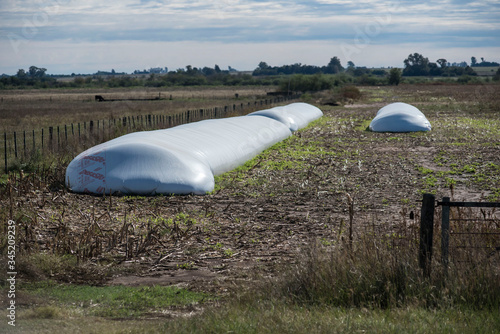 Wallpaper Mural Silos para almacenar cereal.30-04-20.Foto: Marcelo Manera Torontodigital.ca