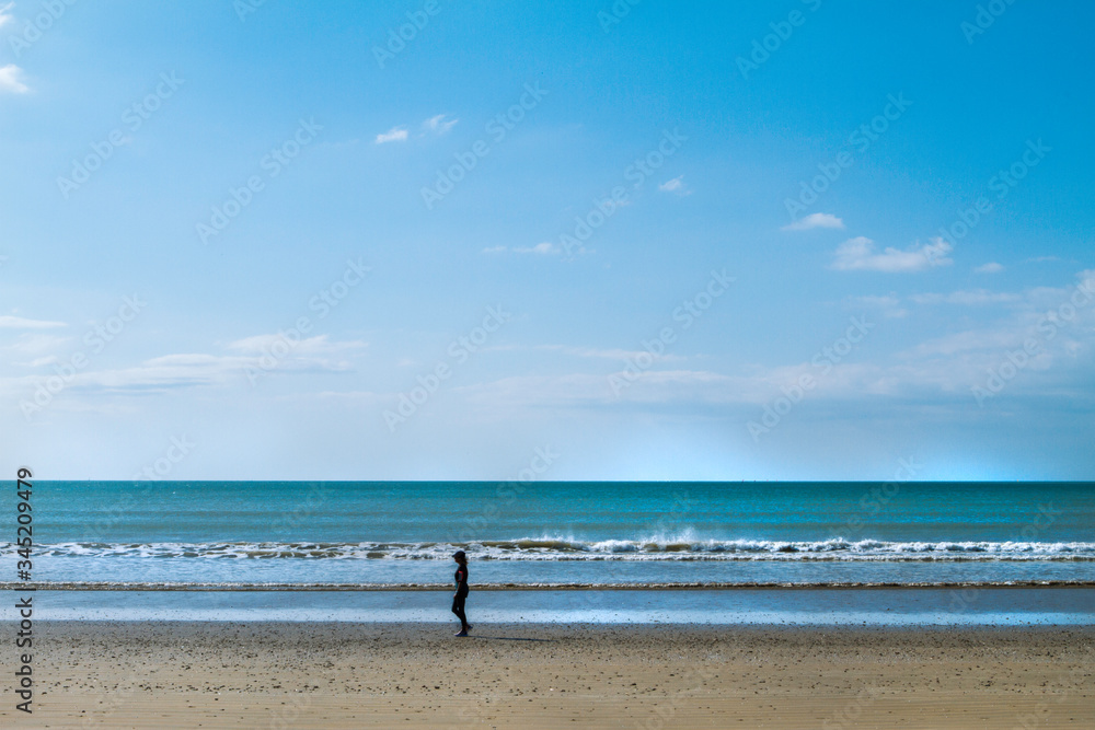 seaside landscape with the horizon in the background and blue sky with clouds