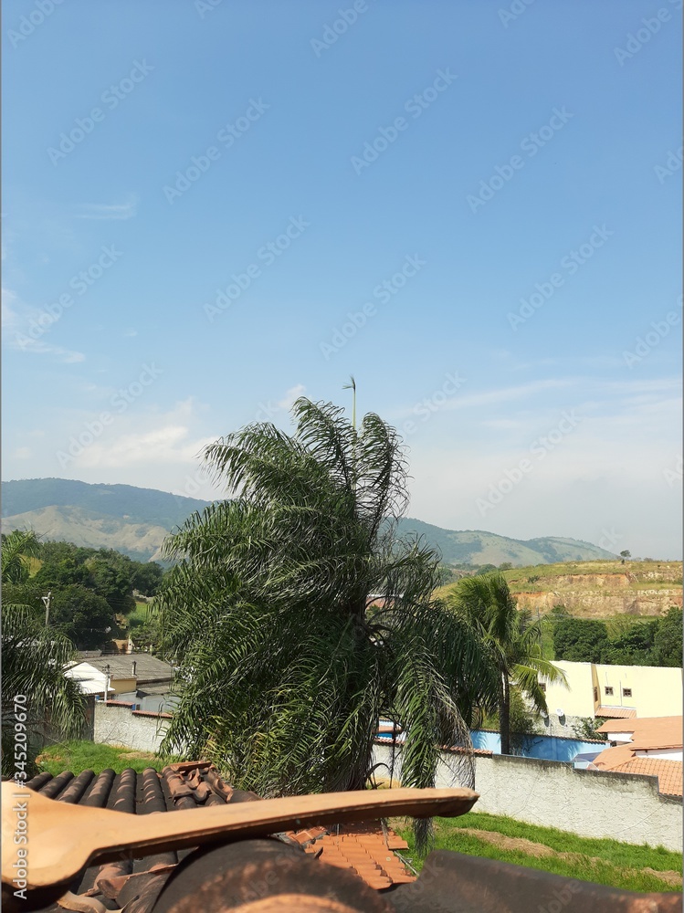 Obraz premium Roof tiles and trees