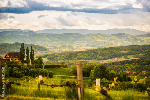 Landscape of vineyard hills. Leibnitz area in south Styria, wine country