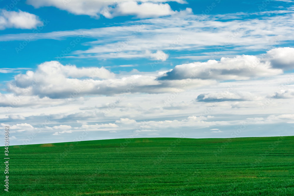 field of grass and perfect blue sky field of grass and perfect blue sky