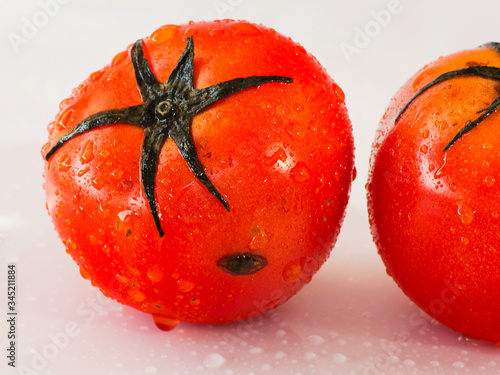 Fresh organic tomatoes with dew drops isolated on white background