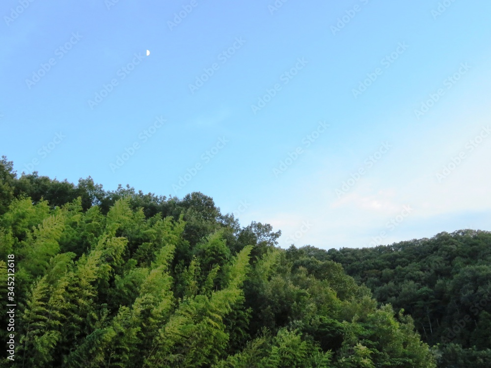 Fototapeta premium 日本の田舎の風景 9月 初秋 薮と月 夕景