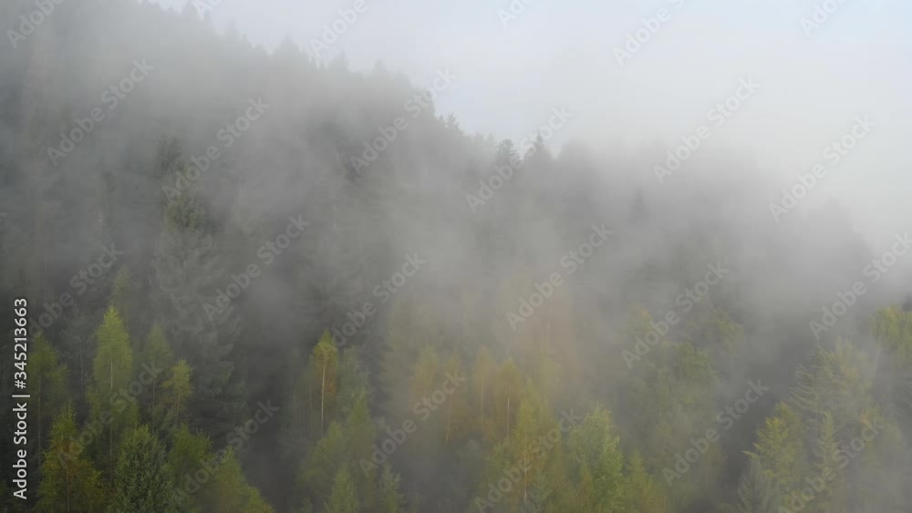 Thin Layer of Mist over Ukrainian Carpathian Mountains Thin Layer of Mist over Ukrainian Carpathian Mountains