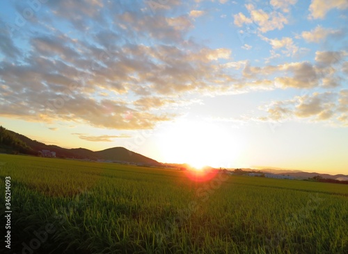 日本の田舎の風景 9月 夕焼雲と田んぼ